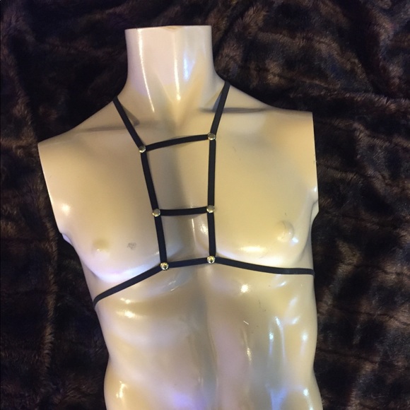 Harness - Picture 3 of 6